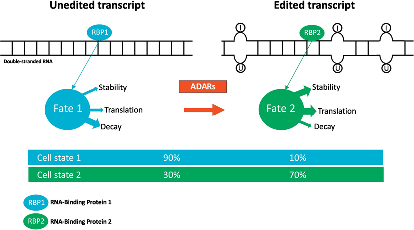 Figure2: