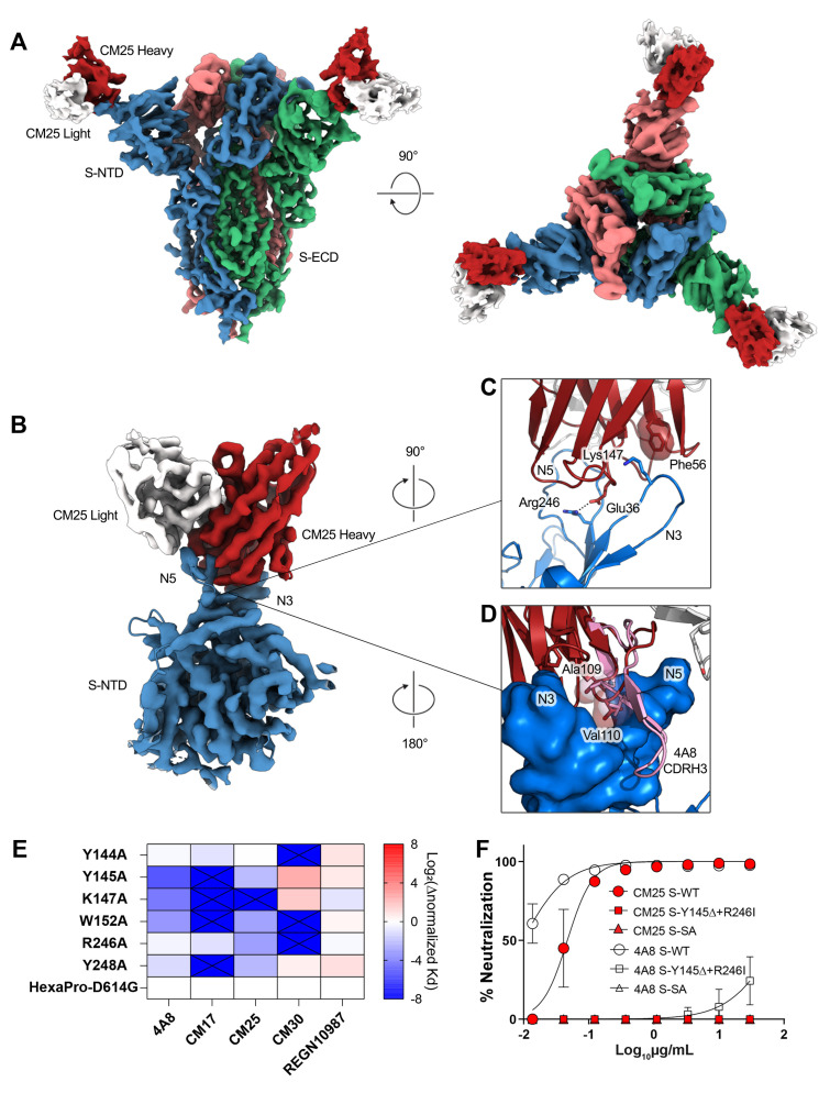 Fig. 4