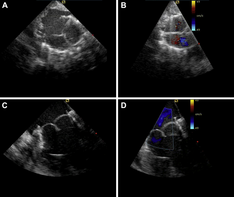 Figure 5