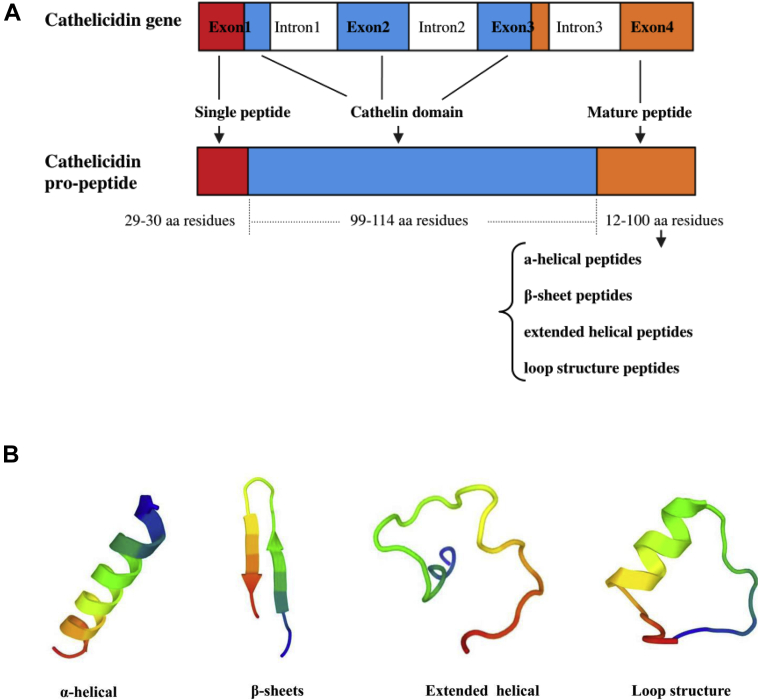 Figure 1