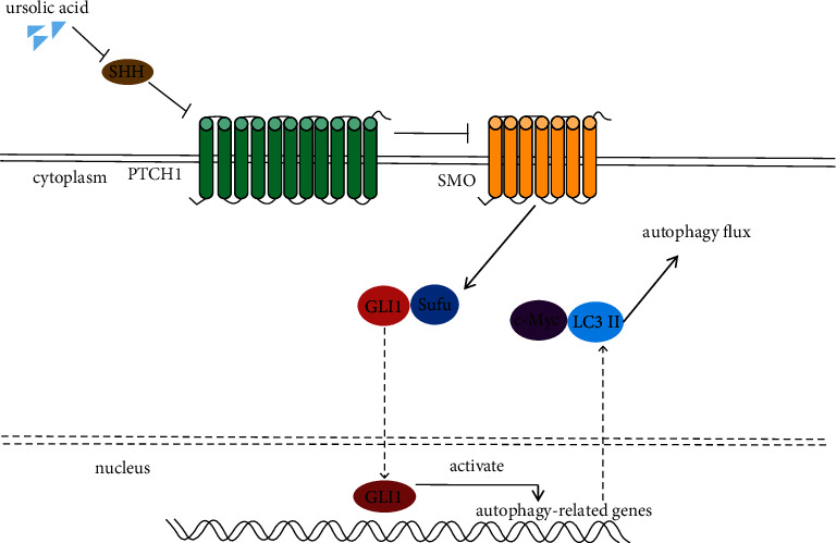 Figure 7