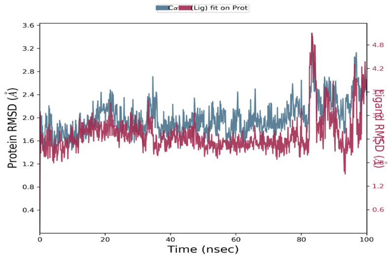 Figure 13