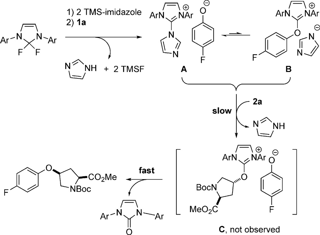 Scheme 4