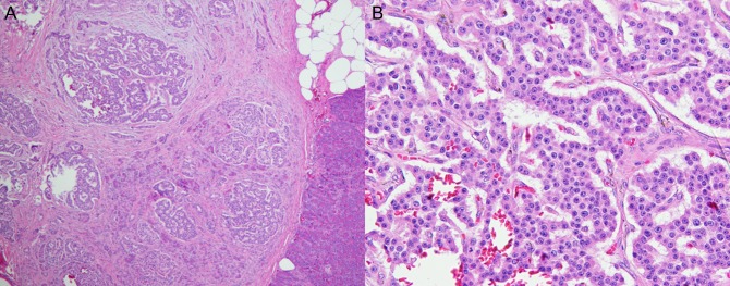 Figure 2: