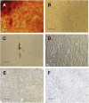 Figure 3