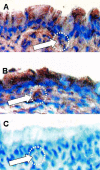 FIG. 4.
