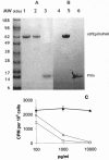 FIG. 2.