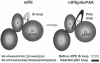 FIG. 1.