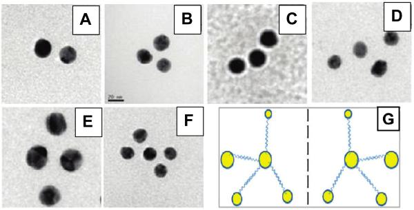 FIGURE 11