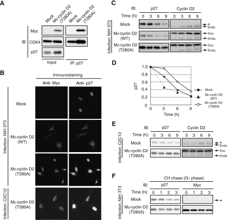 FIG. 7.