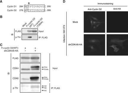 FIG. 6.