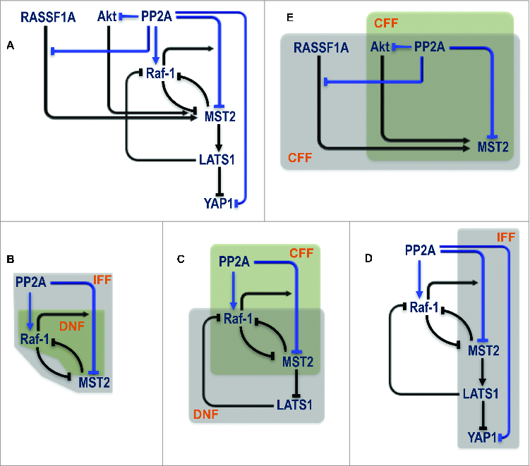 Figure 5.