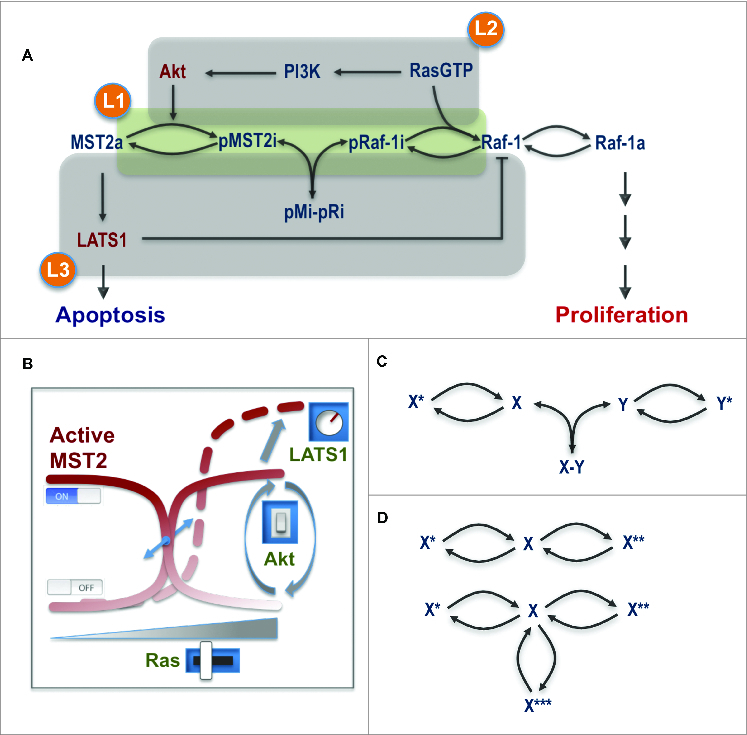 Figure 2.