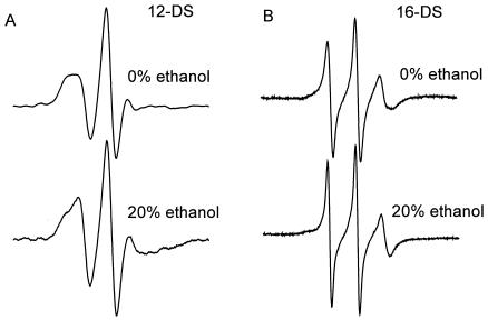 FIG. 5.