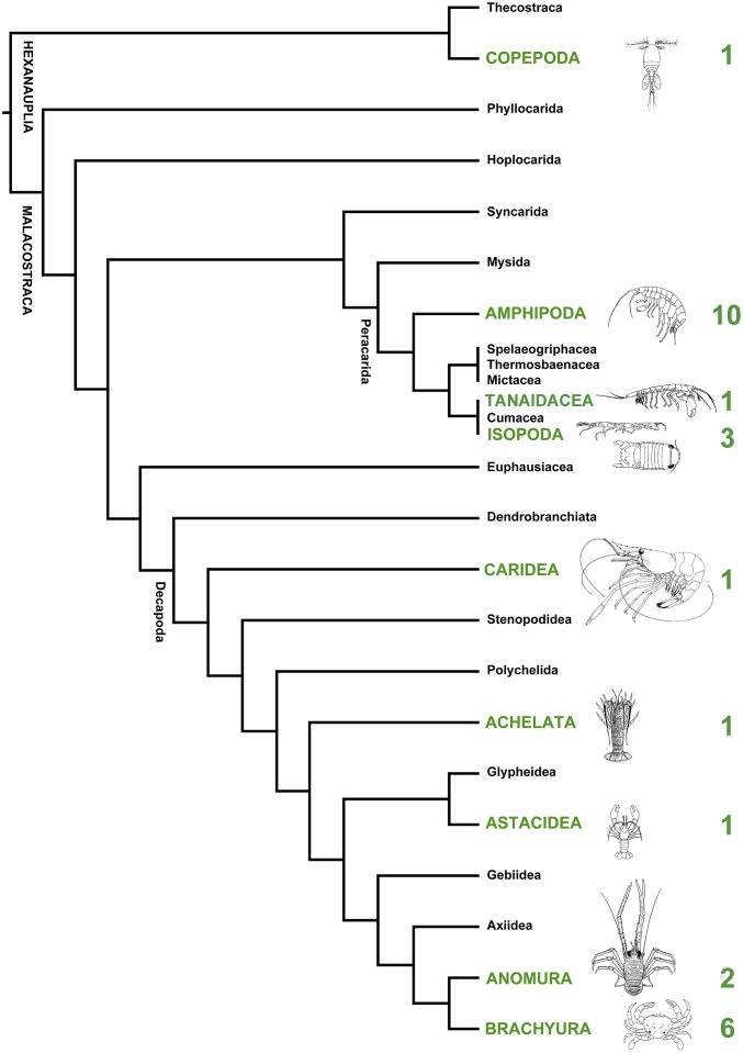 Fig. 2.