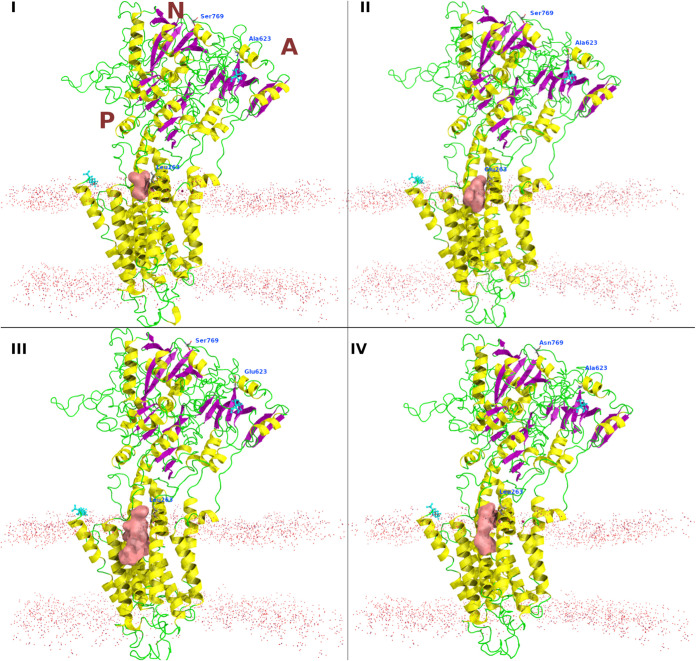 FIG 5