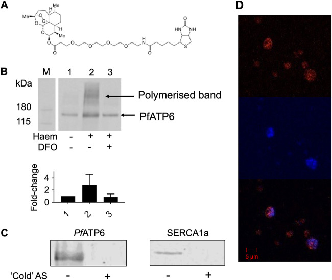 FIG 2