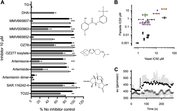 FIG 3