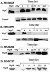 FIG. 7