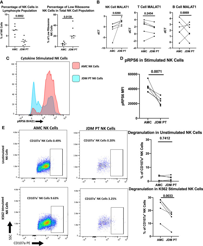 Figure 6