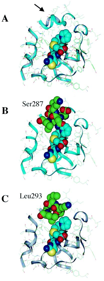 FIG. 2.