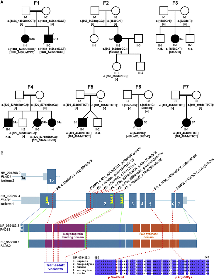 Figure 1