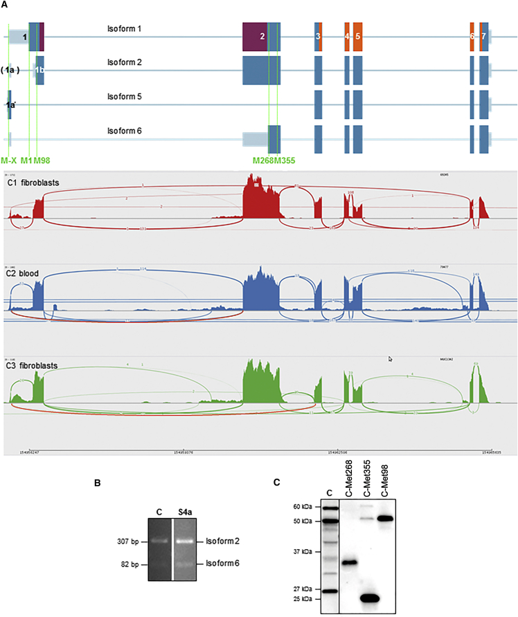 Figure 3