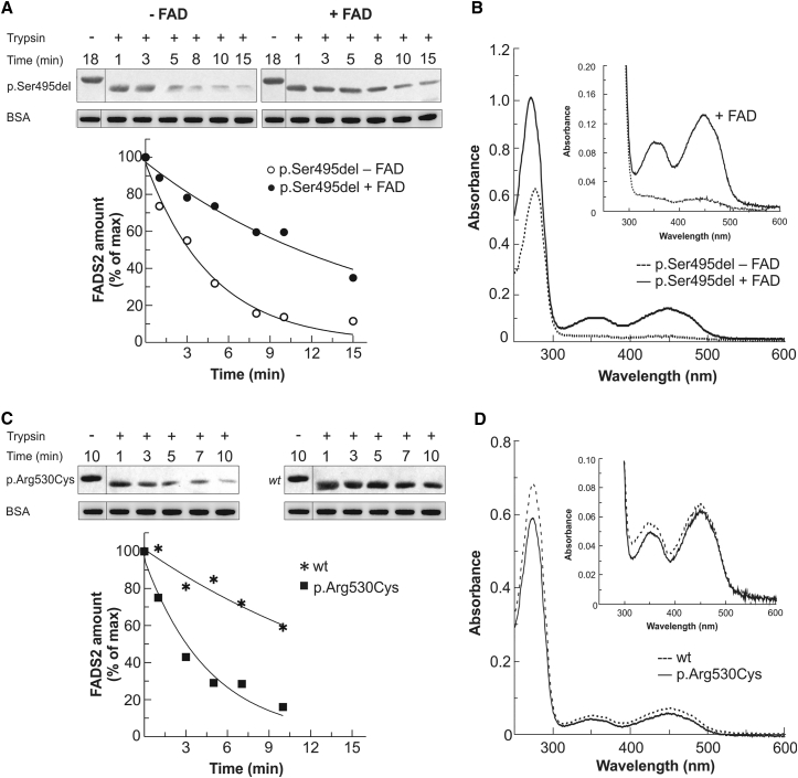 Figure 4