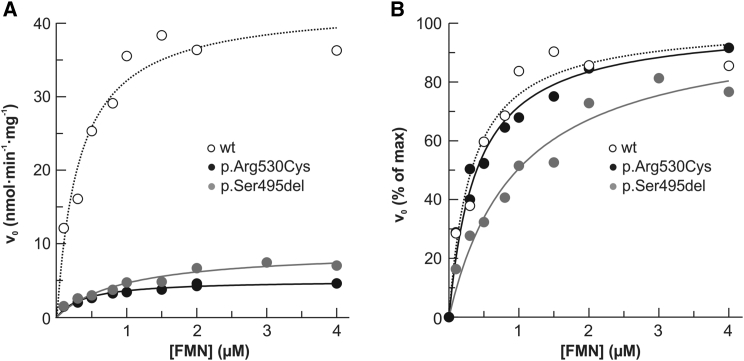 Figure 5