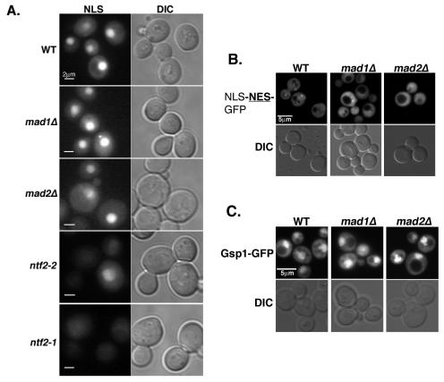 FIG. 4.