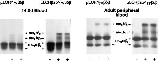 FIG. 8