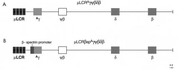 FIG. 5