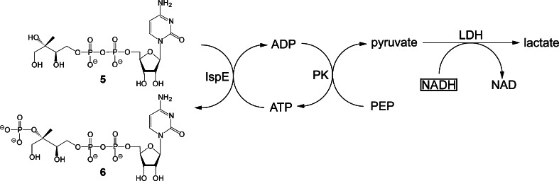 Fig. 14