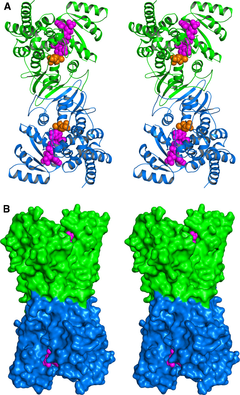 Fig. 4