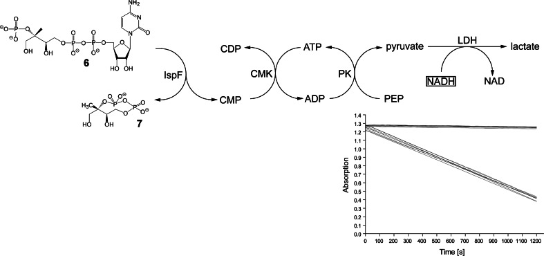 Fig. 15