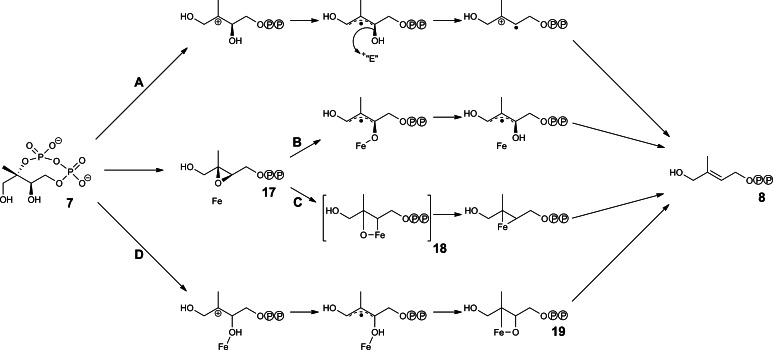 Fig. 9