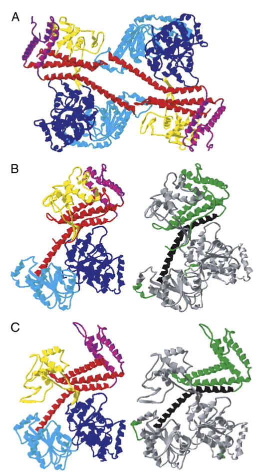 Fig. 2