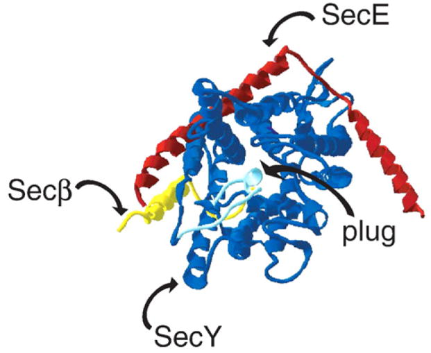 Fig. 3