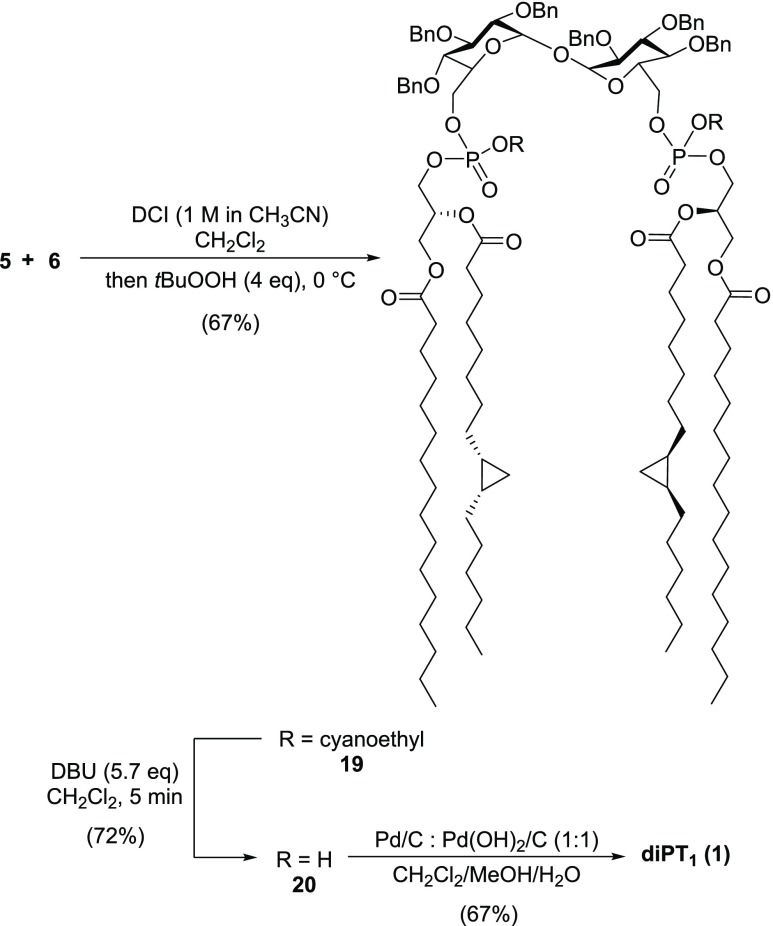 Scheme 3