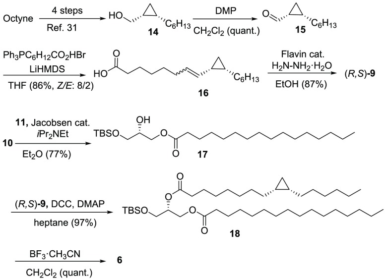 Scheme 2