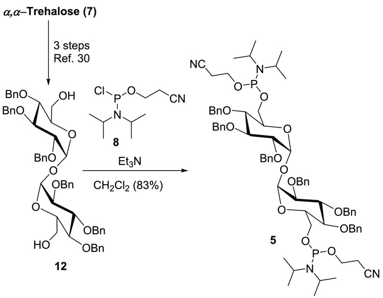 Scheme 1