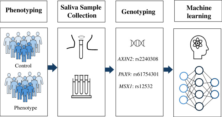 Fig. 2