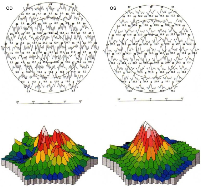 Fig. 2