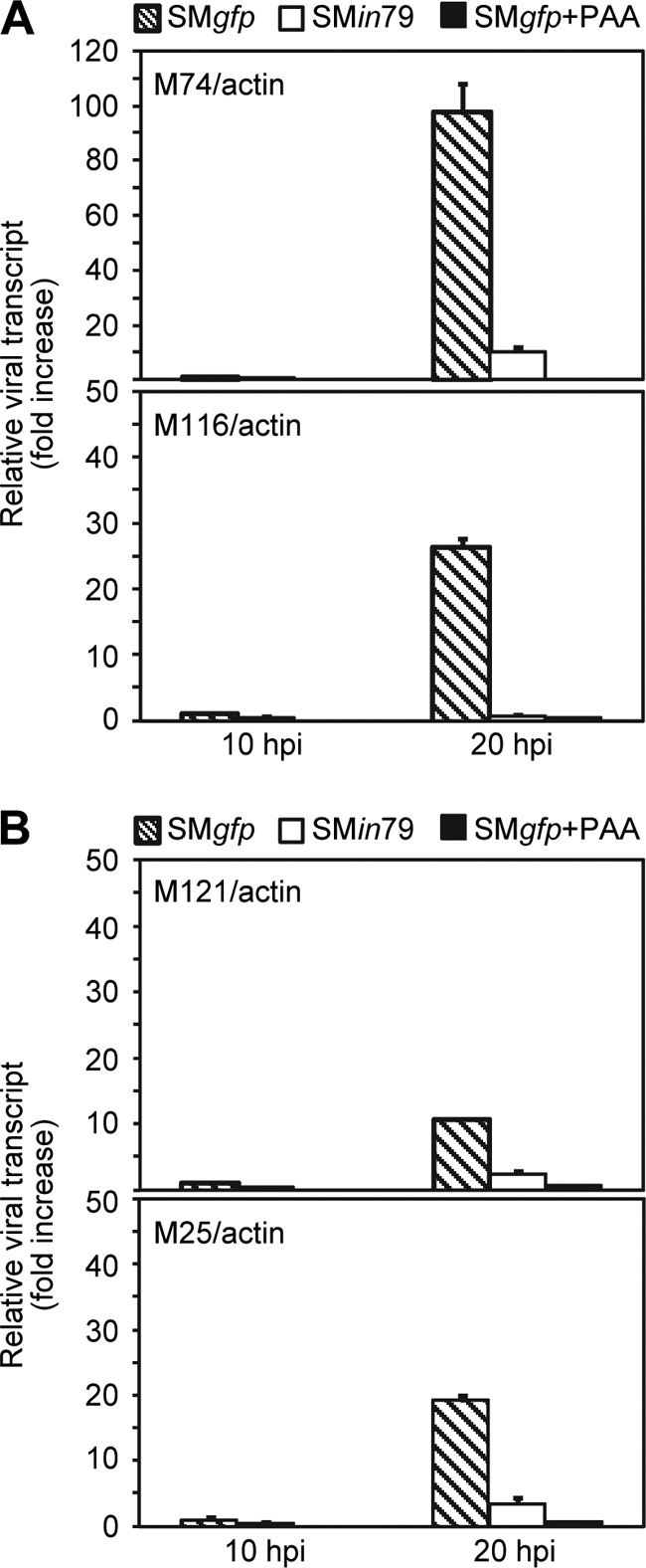 Fig 8