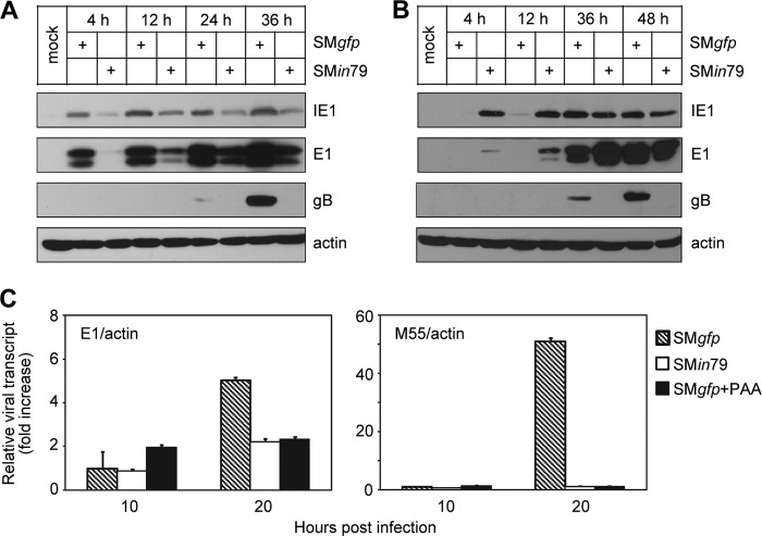 Fig 6