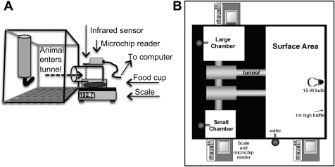 Fig. 1.