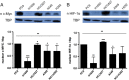 Figure 6