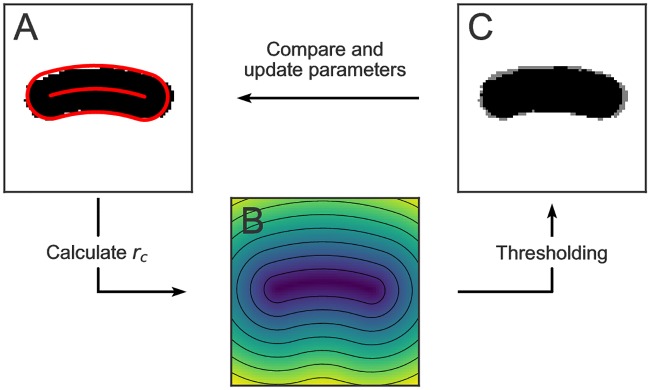 Fig 3