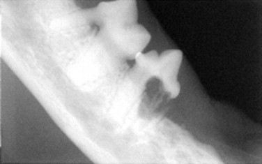 FIGURE 8-11