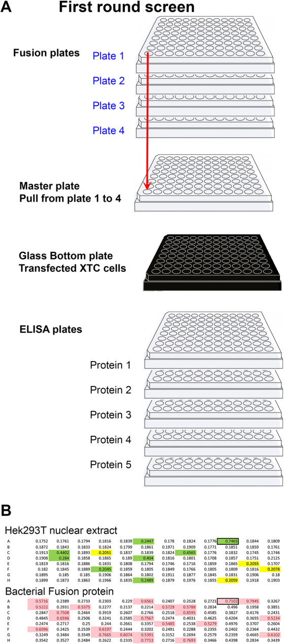 Fig. 2.